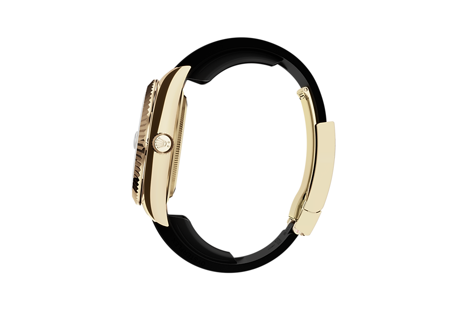 นาฬิกาข้อมือ Rolex Sky-Dweller | M336238-0002 |  ที่ เพนดูลัม