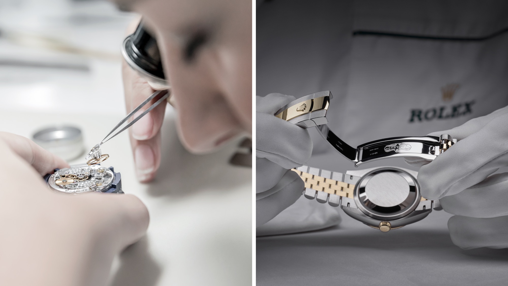 การเดินทางสู่โลกแห่ง Rolex - Pendulum