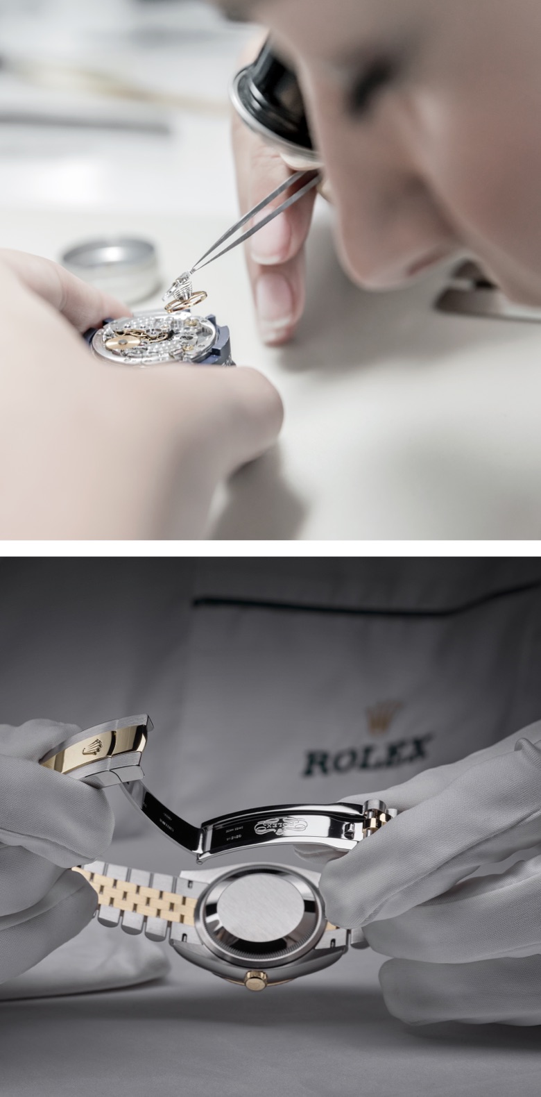 การเดินทางสู่โลกแห่ง Rolex - Pendulum