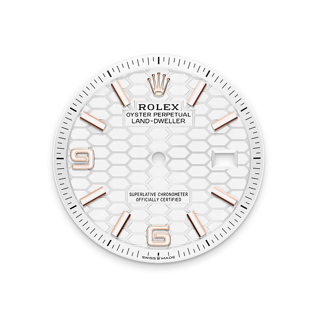 Rolex Land-Dweller in 18 ct Everose gold, M127235-0001 - Pendulum