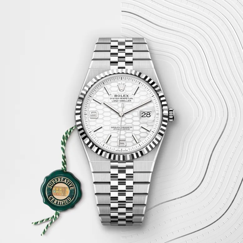 Rolex Land-Dweller in White Rolesor - การผสมผสานระหว่าง Oystersteel และทองคำขาว, M127334-0001 - Pendulum