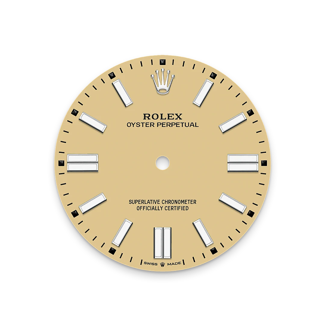 Rolex Oyster Perpetual in Oystersteel, M134300-0007 - Pendulum Rolex Oyster Perpetual in Oystersteel, M134300-0007 - Pendulum