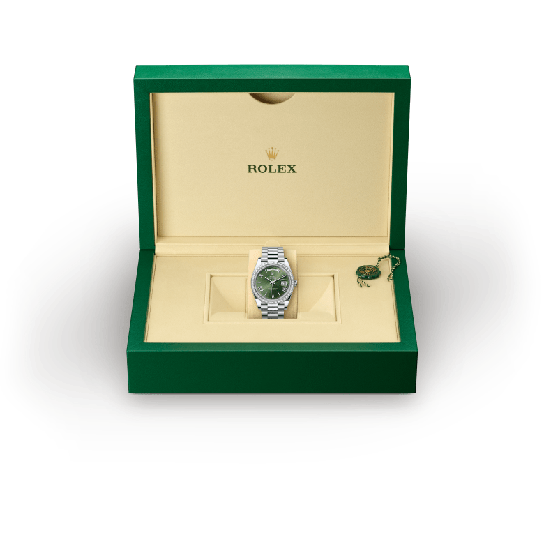 Rolex Day-Date in Platinum, M228396TBR-0020 - Pendulum