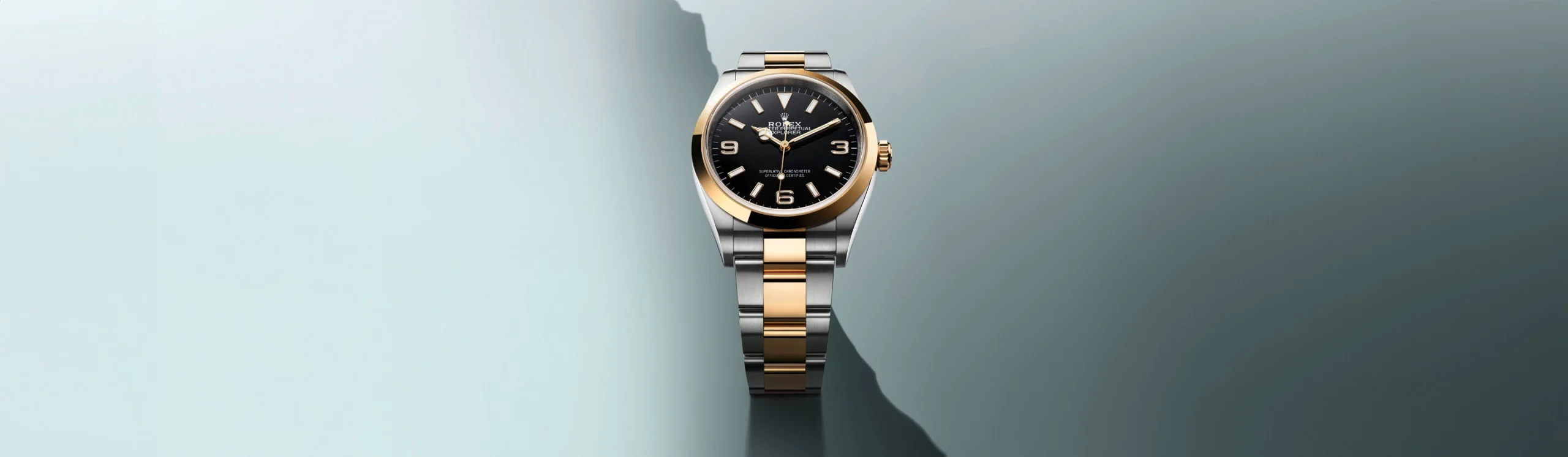 Rolex Explorer watches - Pendulum