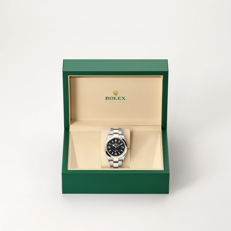 Rolex Explorer in Yellow Rolesor - combination of Oystersteel and yellow gold, M124273-0001 - Pendulum