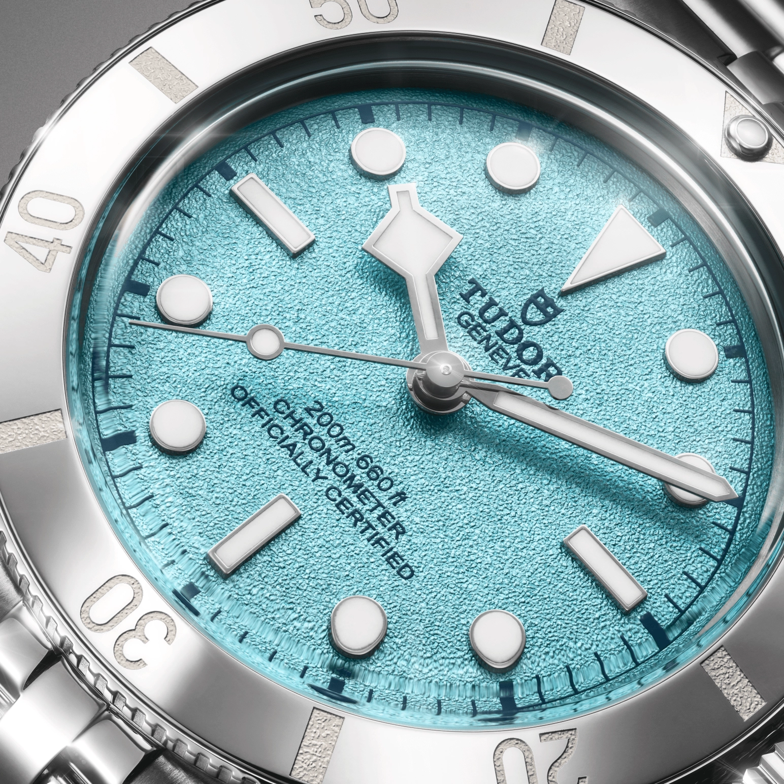 Black Bay | 79000 | Steel | M79000-0001 | Tudor Official Retailer - Pendulum