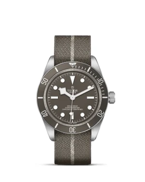 Black Bay | 79010SG | Silver | M79010SG-0002 | Tudor Official Retailer - Pendulum