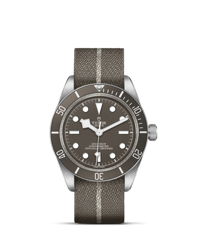 Black Bay | 79010SG | Silver | M79010SG-0002 | Tudor Official Retailer - Pendulum