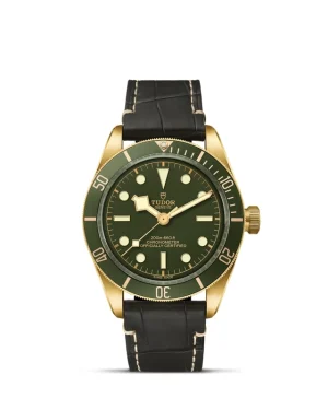 Black Bay | 79018V | Gold | M79018V-0001 | Tudor Official Retailer - Pendulum