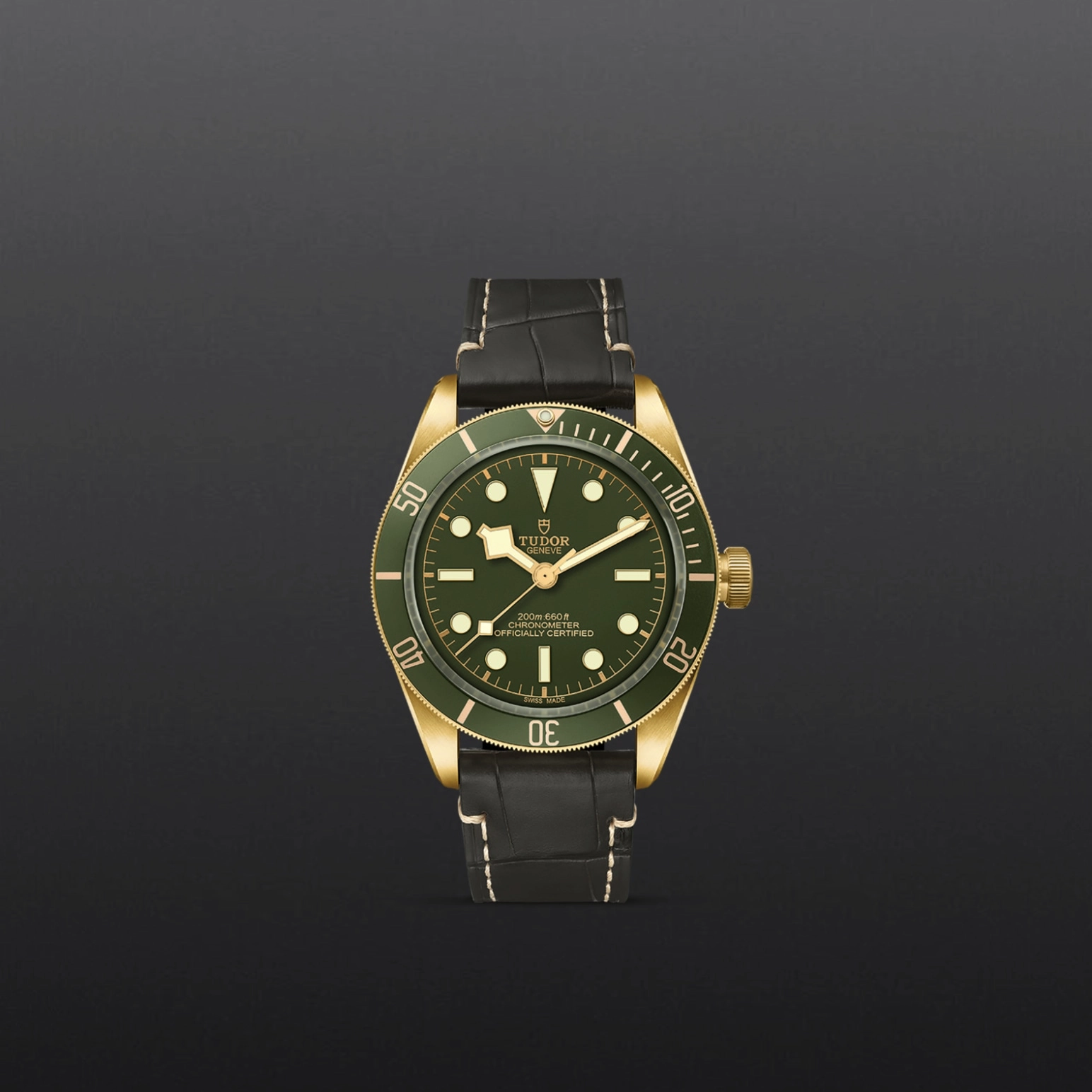 Black Bay 58 | 79018V | Gold | M79018V-0001 | Tudor Official Retailer - Pendulum