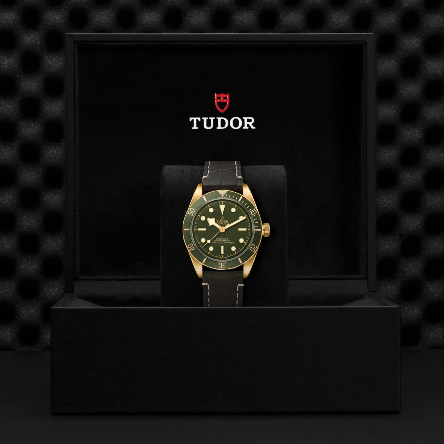 Black Bay 58 | 79018V | Gold | M79018V-0001 | Tudor Official Retailer - Pendulum