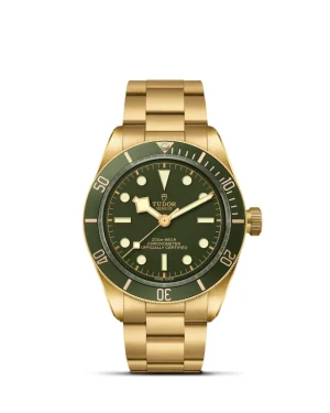 Black Bay | 79018V | Gold | M79018V-0006 | Tudor Official Retailer - Pendulum