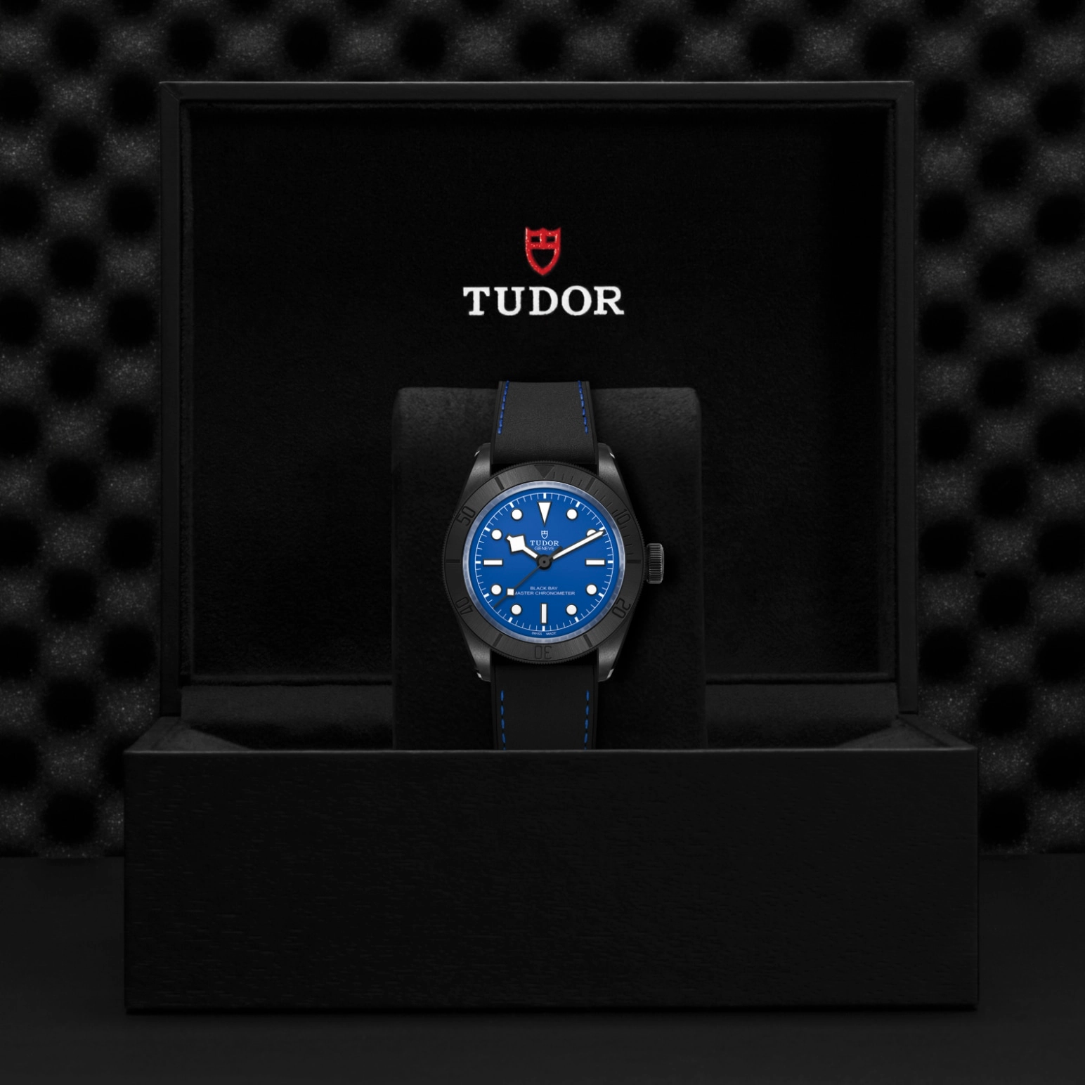 Black Bay | 79210CNU | Ceramic | M79210CNU-0007 | Tudor Official Retailer - Pendulum