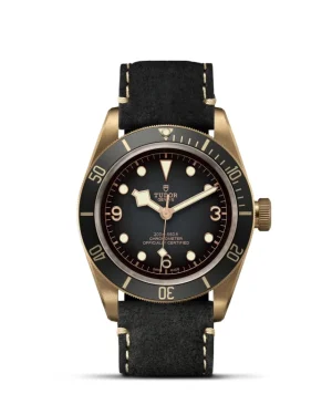 Black Bay | 79250BA | Bronze | M79250BA-0001 | Tudor Official Retailer - Pendulum