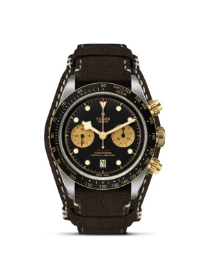 Black Bay | 79363N | Steel and Gold | M79363N-0002 | Tudor Official Retailer - Pendulum
