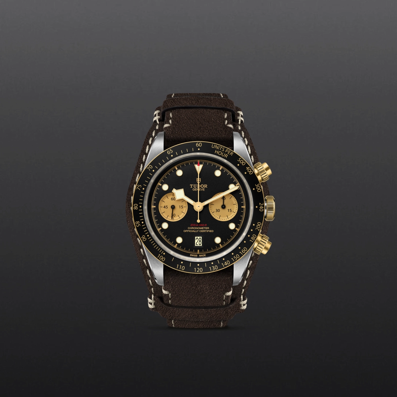 Black Bay | 79363N | Steel and Gold | M79363N-0002 | Tudor Official Retailer - Pendulum