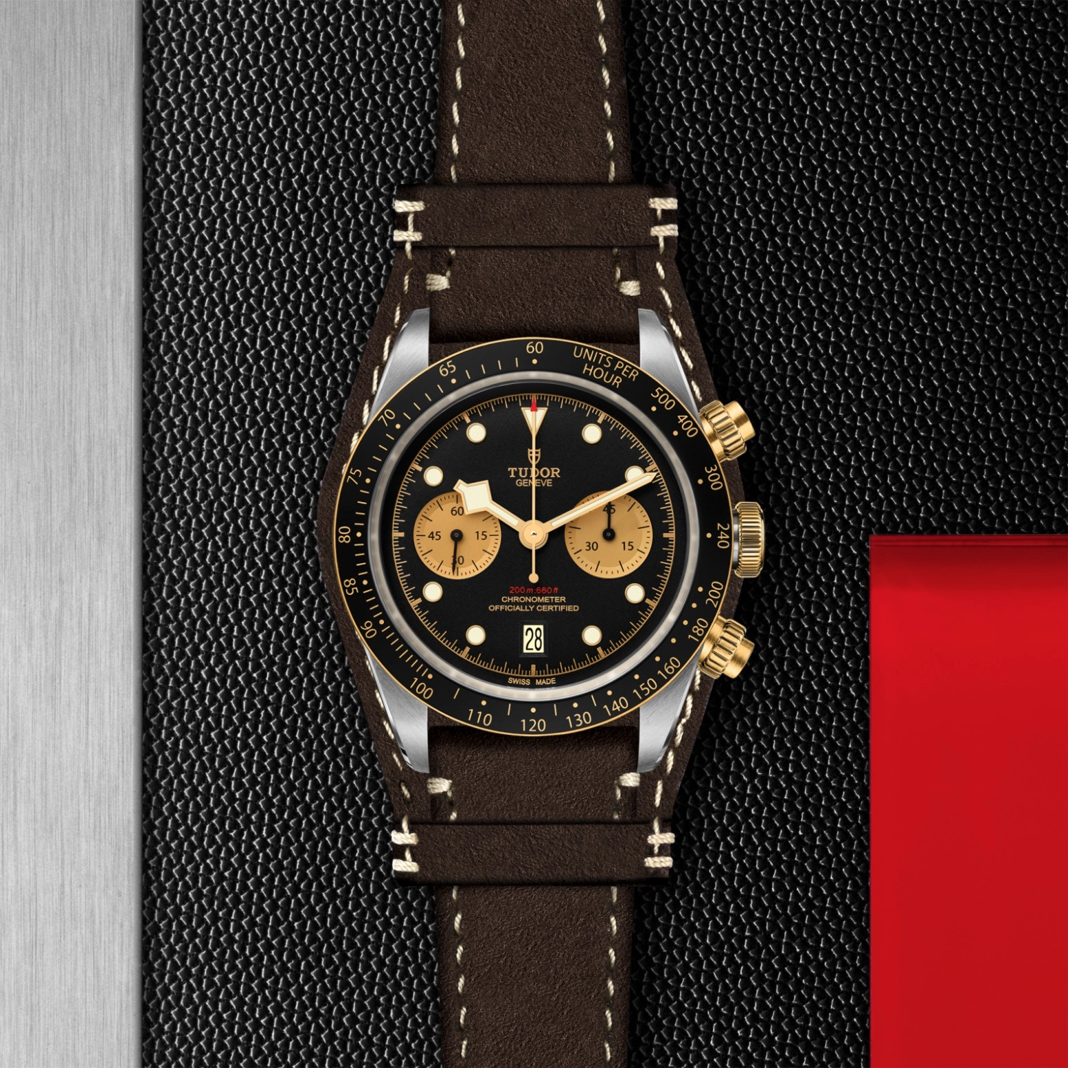 Black Bay | 79363N | Steel and Gold | M79363N-0002 | Tudor Official Retailer - Pendulum