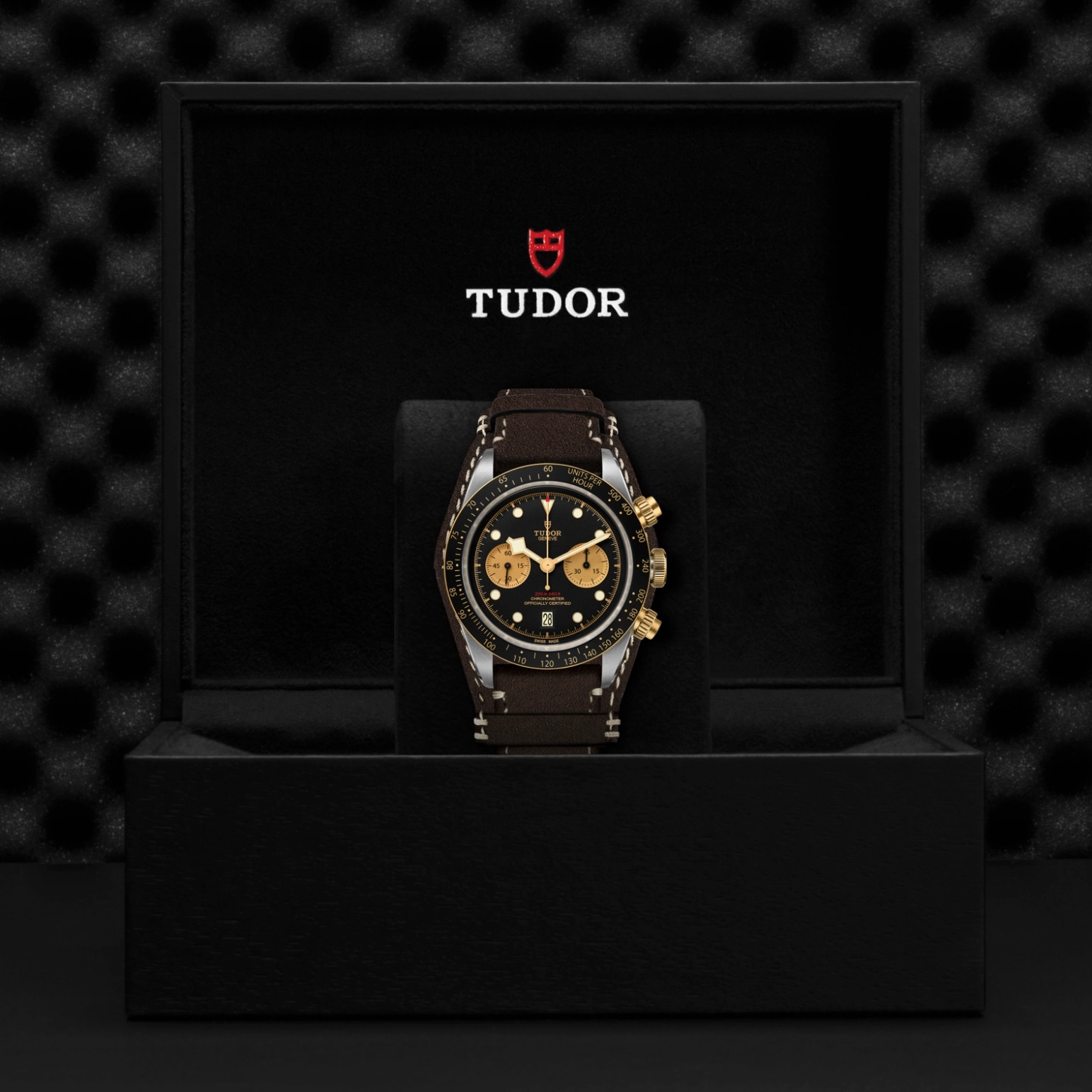 Black Bay | 79363N | Steel and Gold | M79363N-0002 | Tudor Official Retailer - Pendulum
