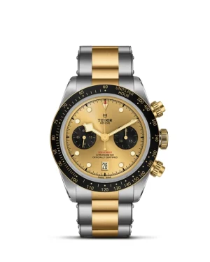 Black Bay | 79363N | Steel and Gold | M79363N-0007 | Tudor Official Retailer - Pendulum