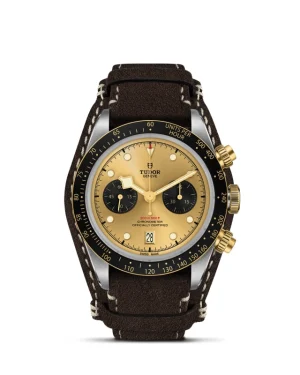 Black Bay | 79363N | Steel and Gold | M79363N-0008 | Tudor Official Retailer - Pendulum