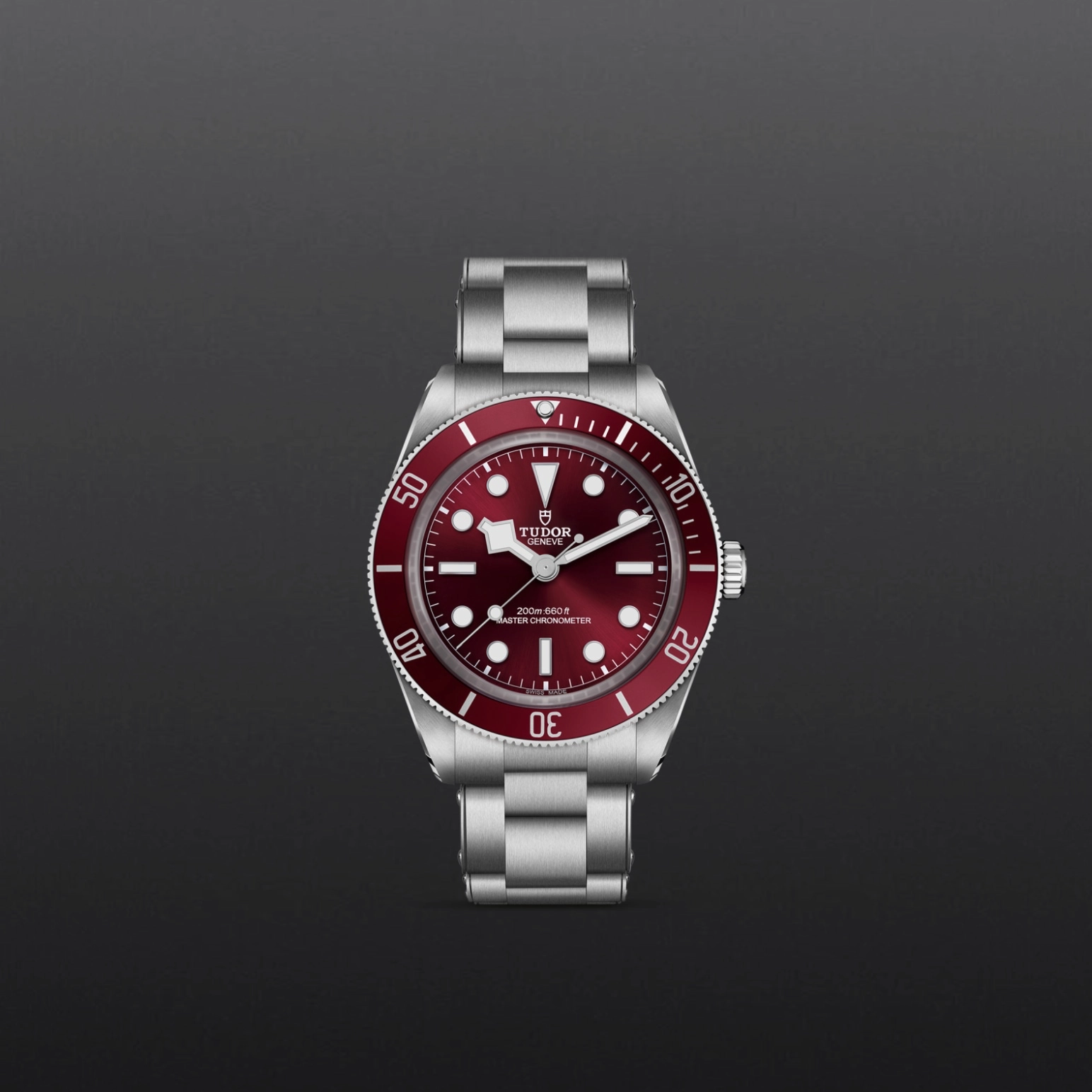 Black Bay | 7939A1A0RU | Steel | M7939A1A0RU-0002 | Tudor Official Retailer - Pendulum