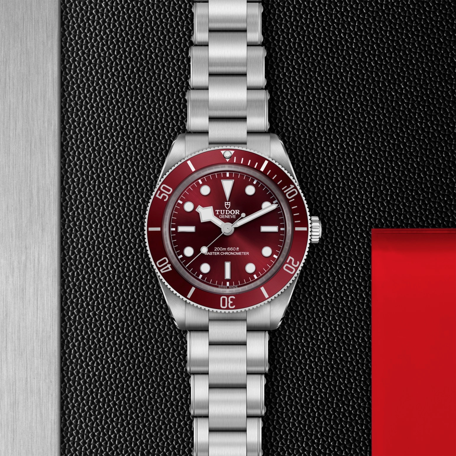 Black Bay | 7939A1A0RU | Steel | M7939A1A0RU-0002 | Tudor Official Retailer - Pendulum