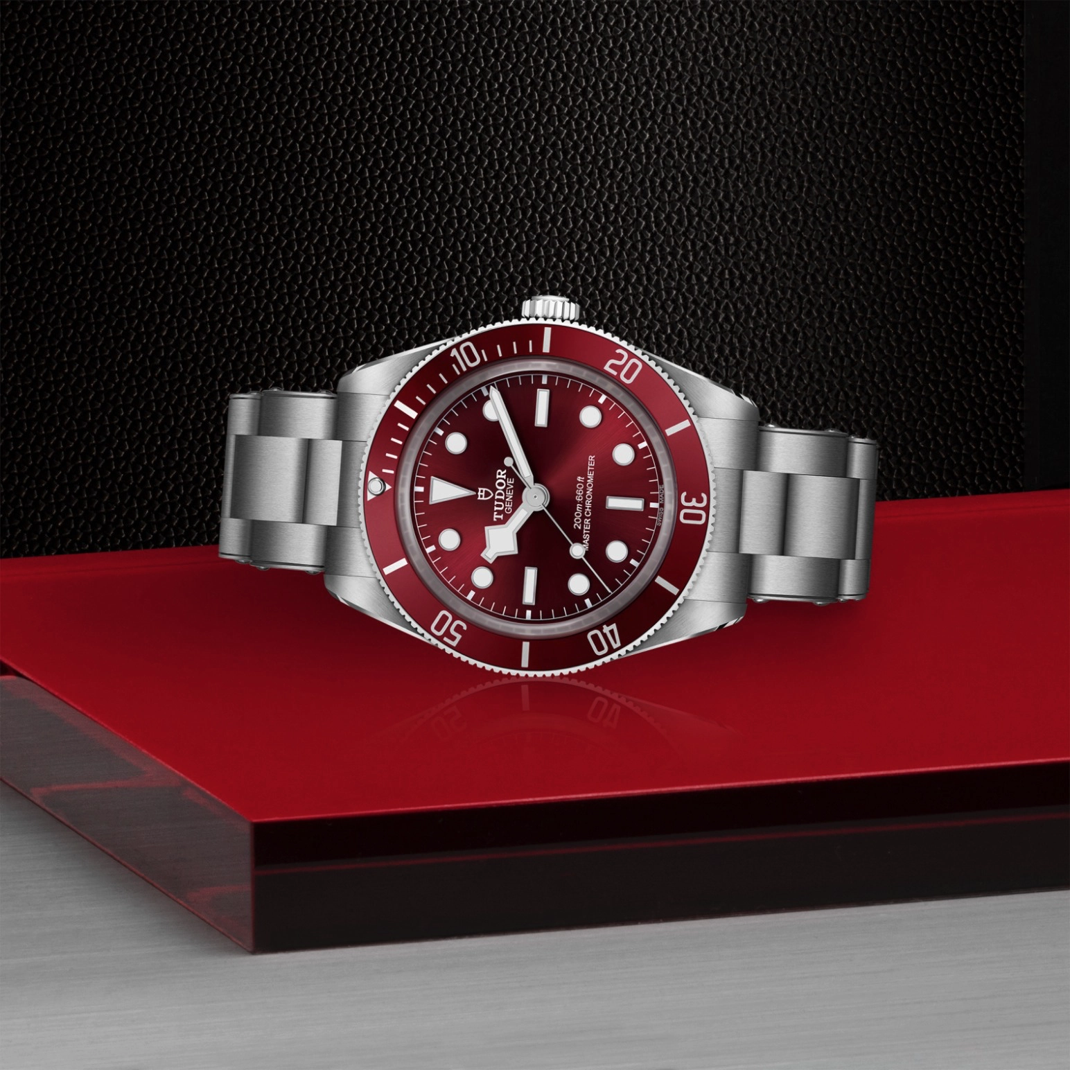 Black Bay | 7939A1A0RU | Steel | M7939A1A0RU-0002 | Tudor Official Retailer - Pendulum