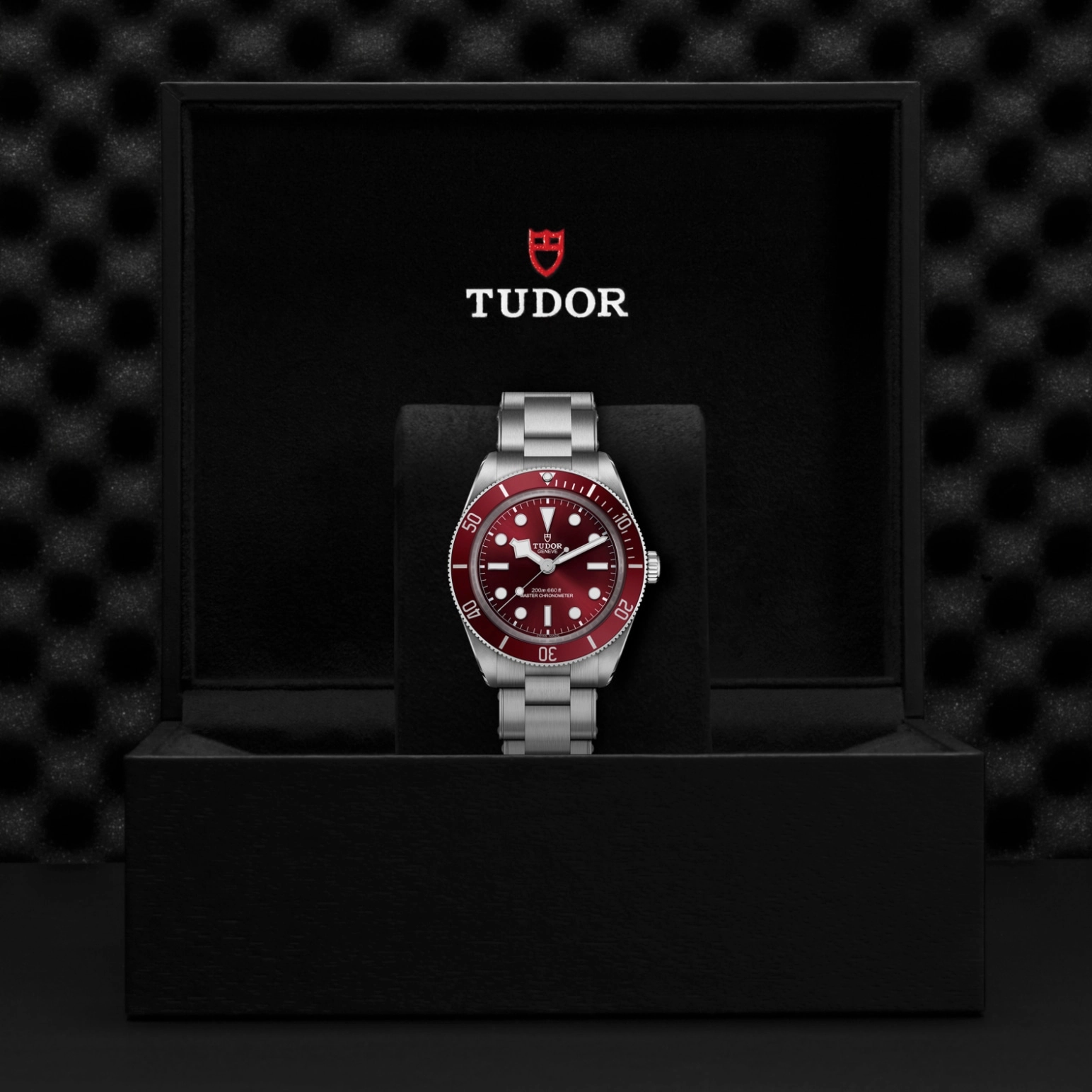 Black Bay | 7939A1A0RU | Steel | M7939A1A0RU-0002 | Tudor Official Retailer - Pendulum