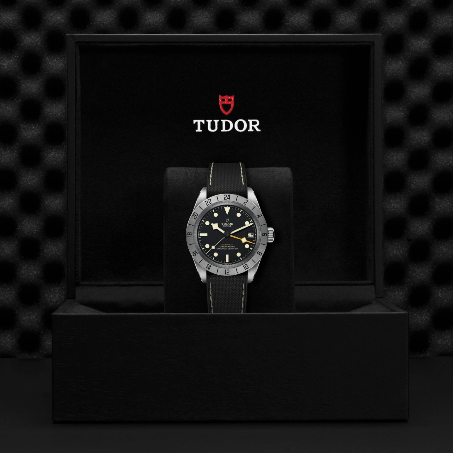 Black Bay | 79470 | Steel | M79470-0003 | Tudor Official Retailer - Pendulum