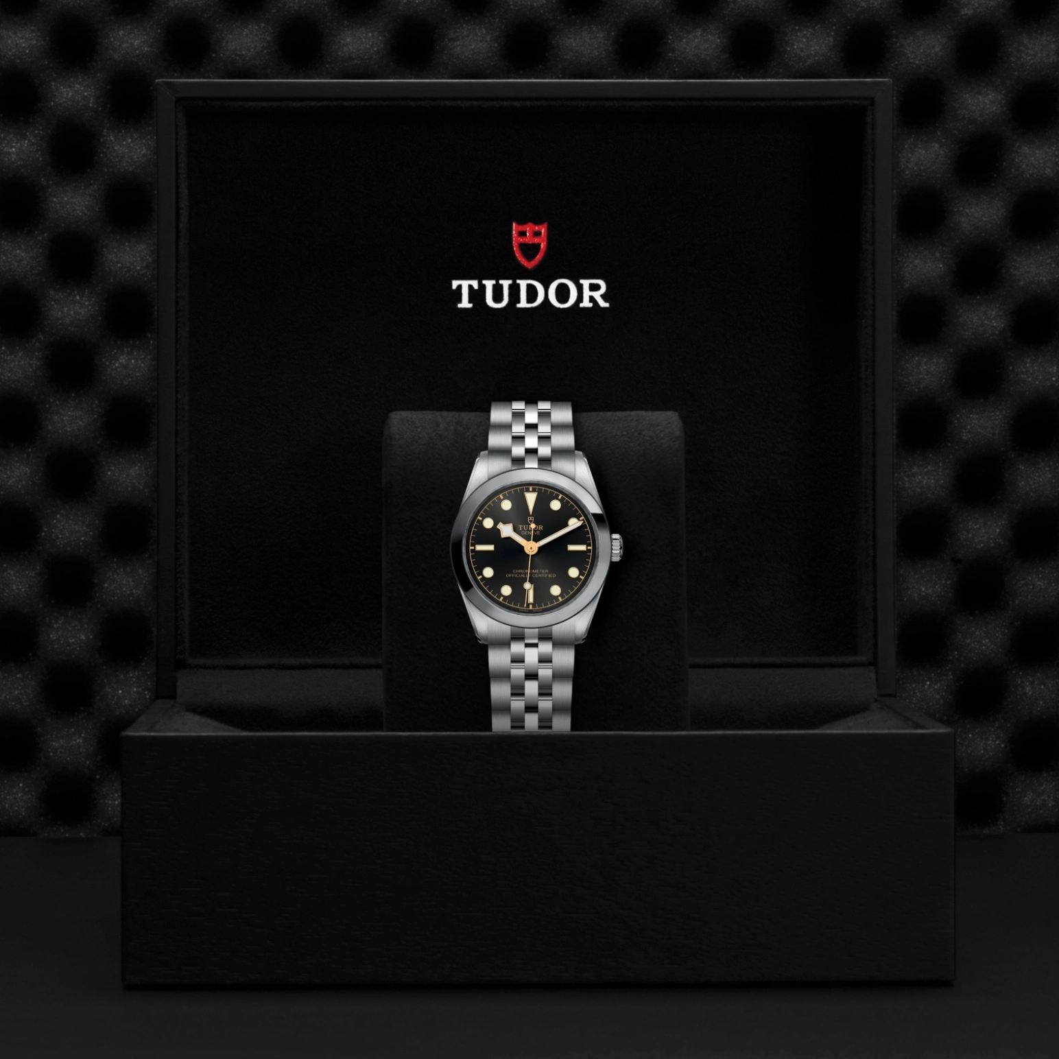 Black Bay One | 79600 | Steel | M79600-0001 | Tudor Official Retailer - Pendulum