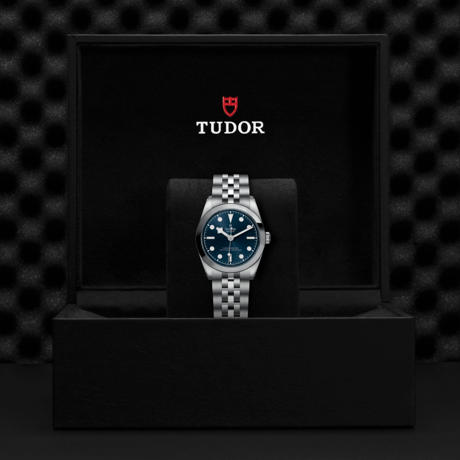Black Bay One | 79600 | Steel | M79600-0002 | Tudor Official Retailer - Pendulum