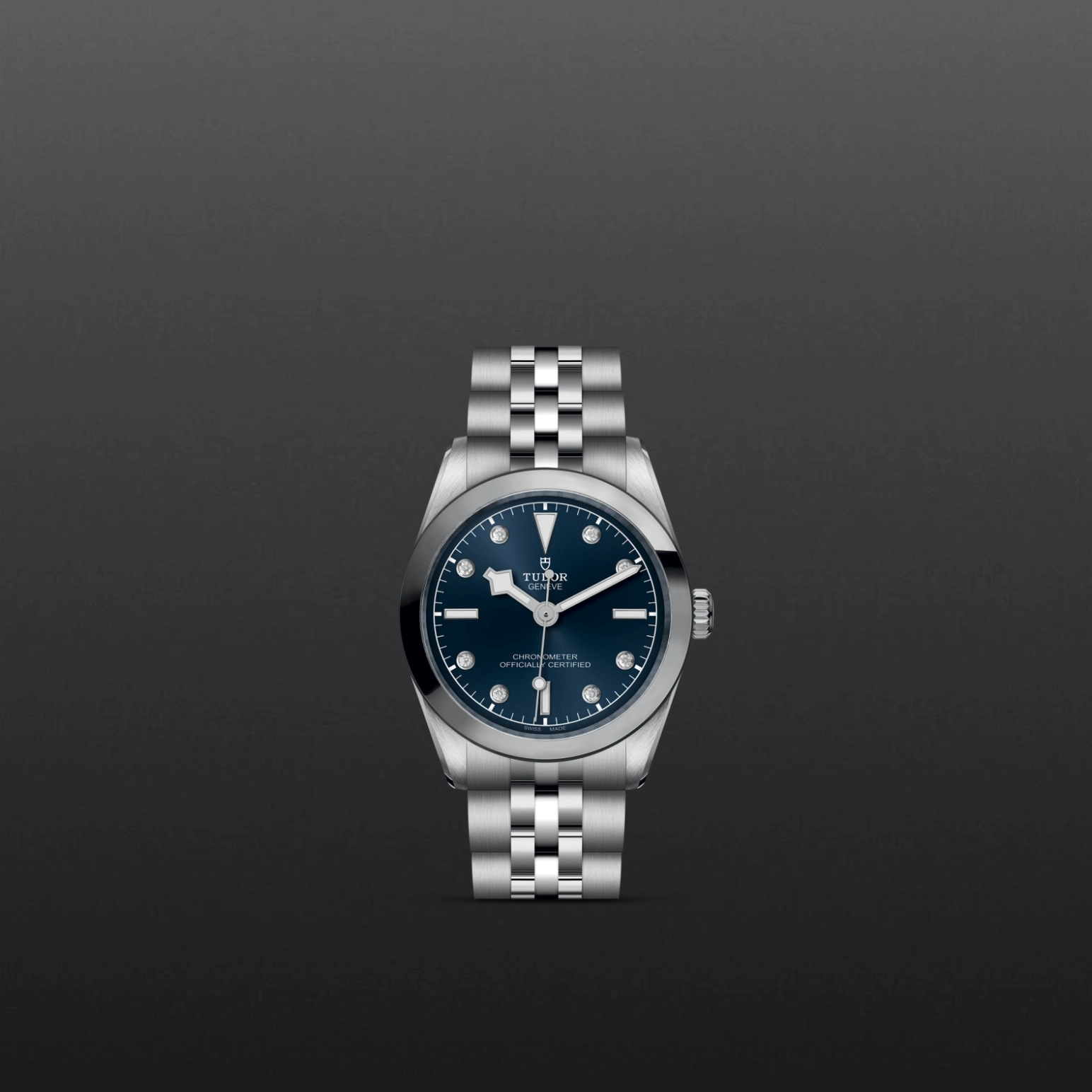 Black Bay | 79600 | Steel | M79600-0005 | Tudor Official Retailer - Pendulum