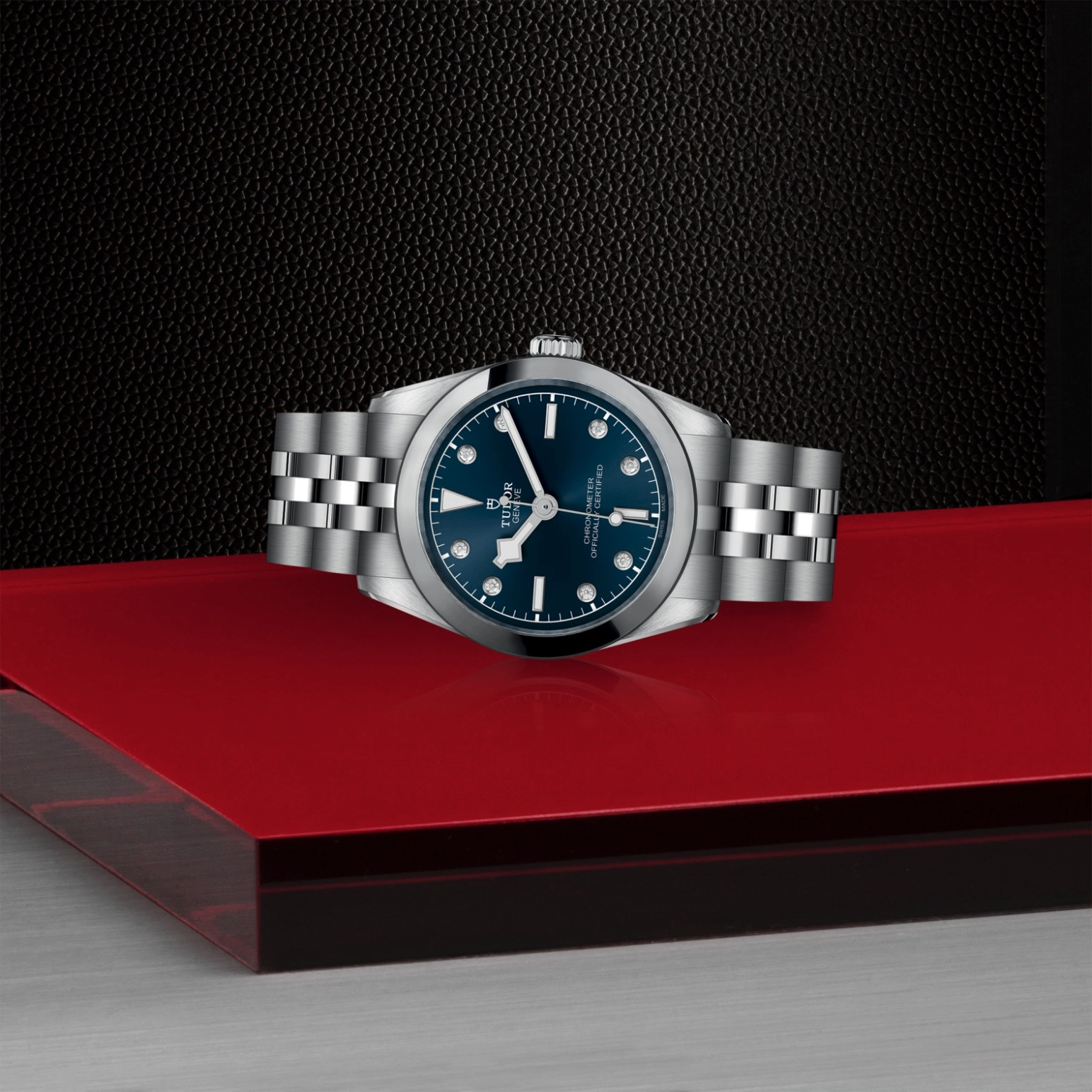 Black Bay | 79600 | Steel | M79600-0005 | Tudor Official Retailer - Pendulum