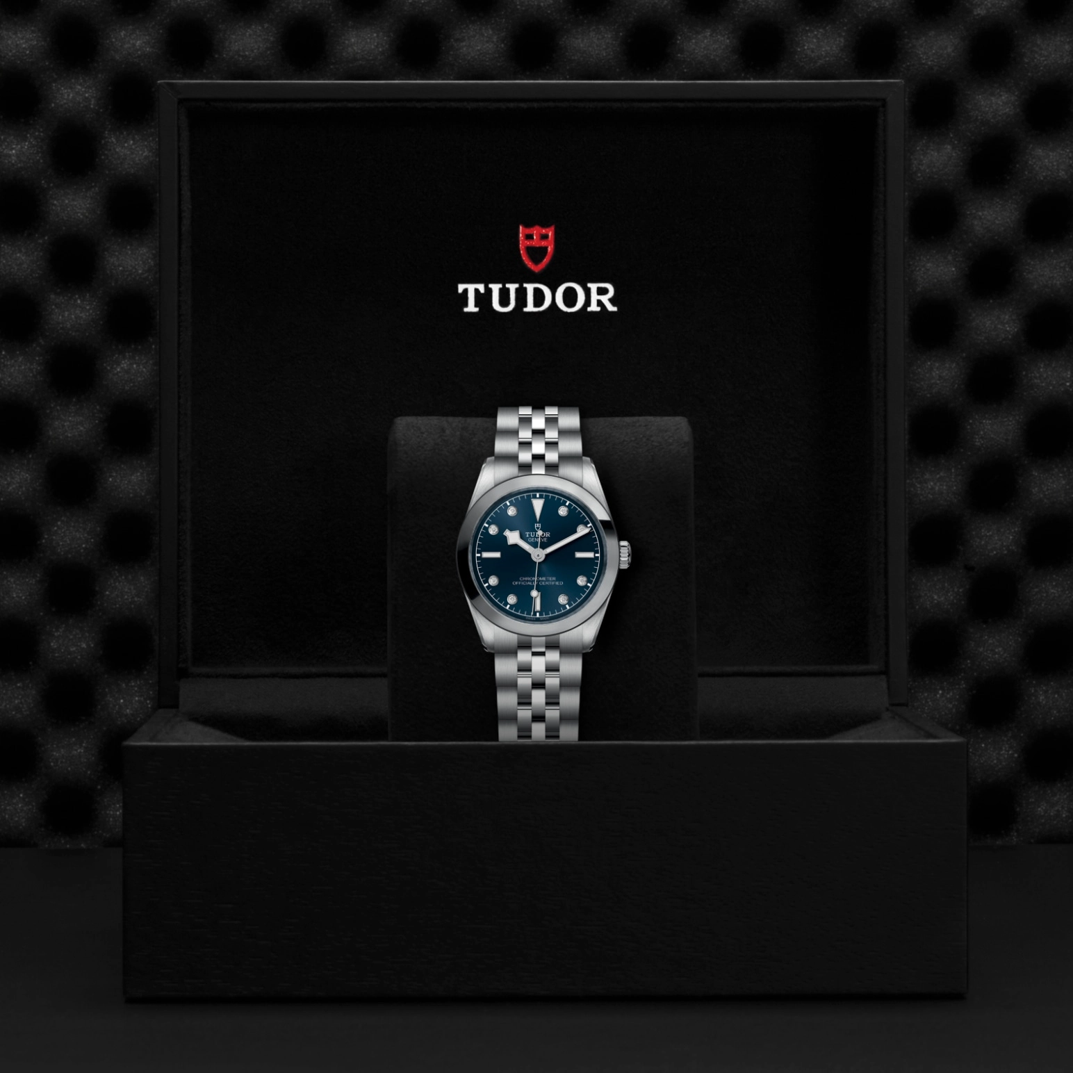 Black Bay | 79600 | Steel | M79600-0005 | Tudor Official Retailer - Pendulum