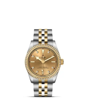 Black Bay | 79613 | Steel and Gold | M79613-0007 | Tudor Official Retailer - Pendulum
