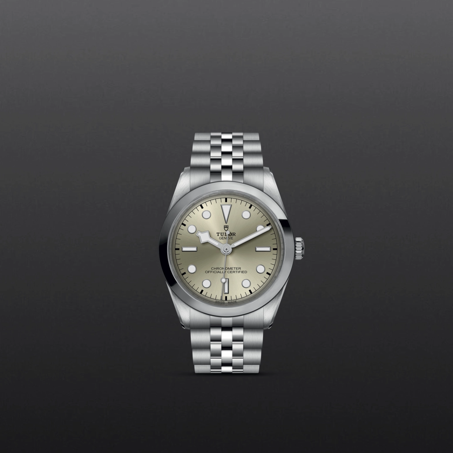Black Bay | 79640 | Steel | M79640-0003 | Tudor Official Retailer - Pendulum