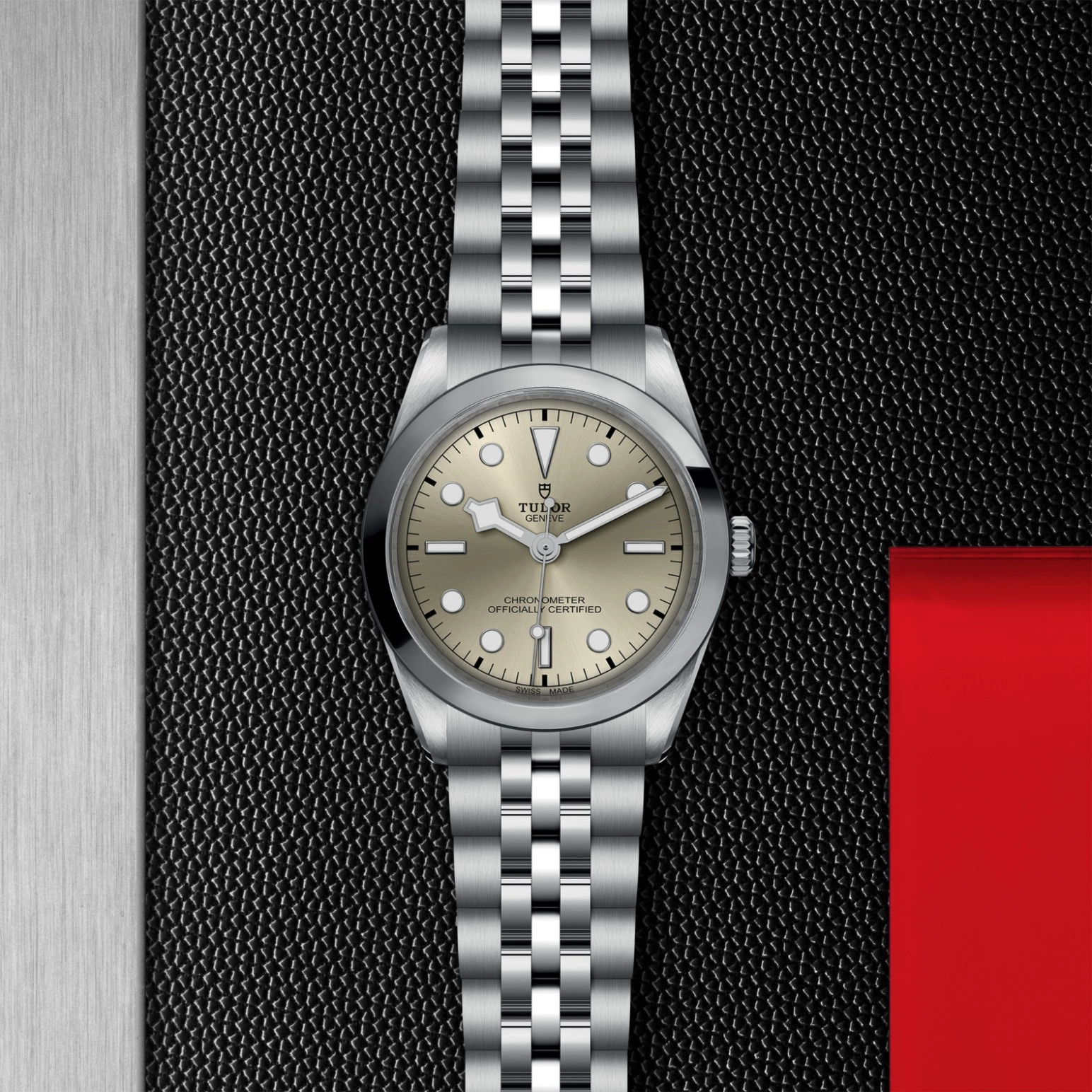 Black Bay | 79640 | Steel | M79640-0003 | Tudor Official Retailer - Pendulum
