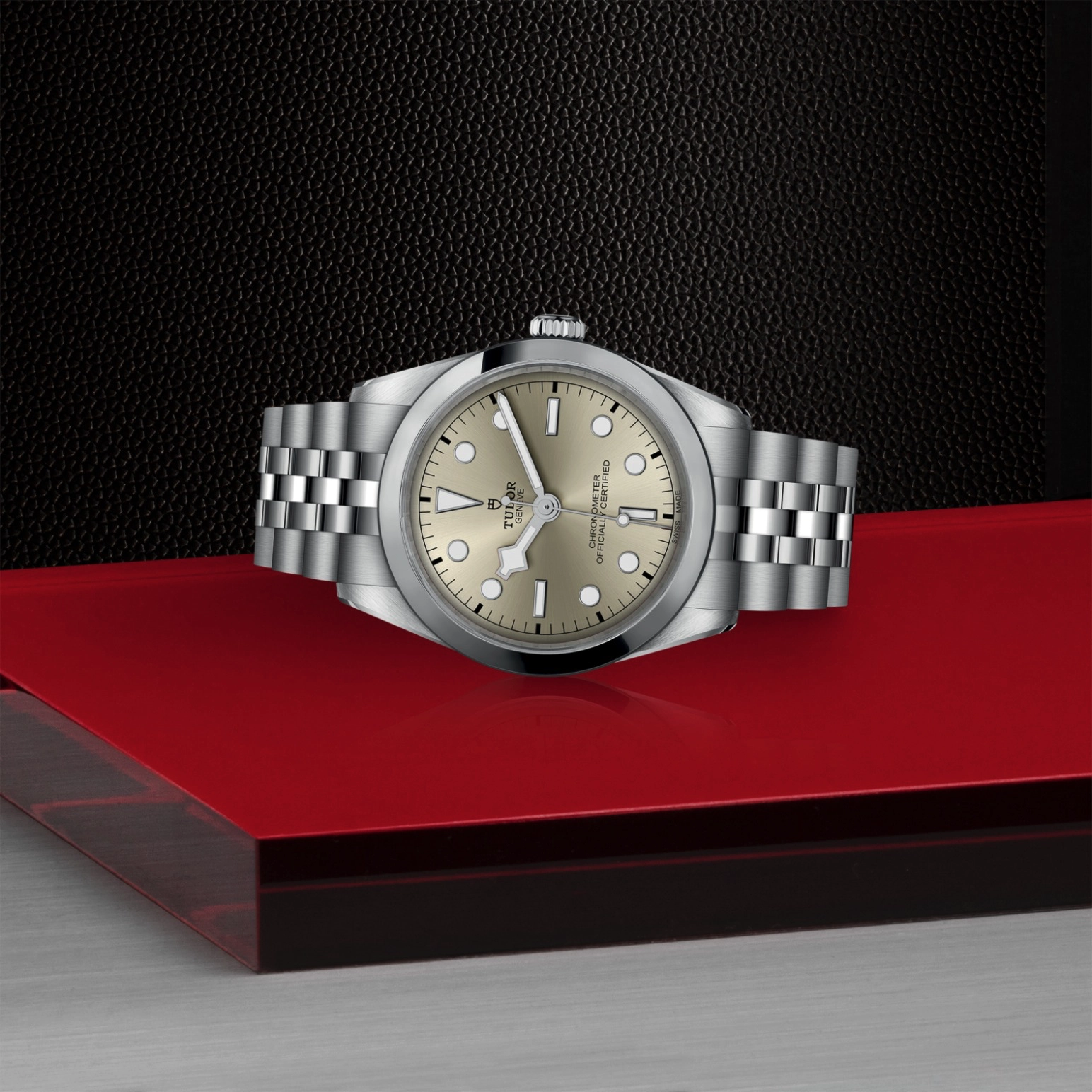 Black Bay | 79640 | Steel | M79640-0003 | Tudor Official Retailer - Pendulum