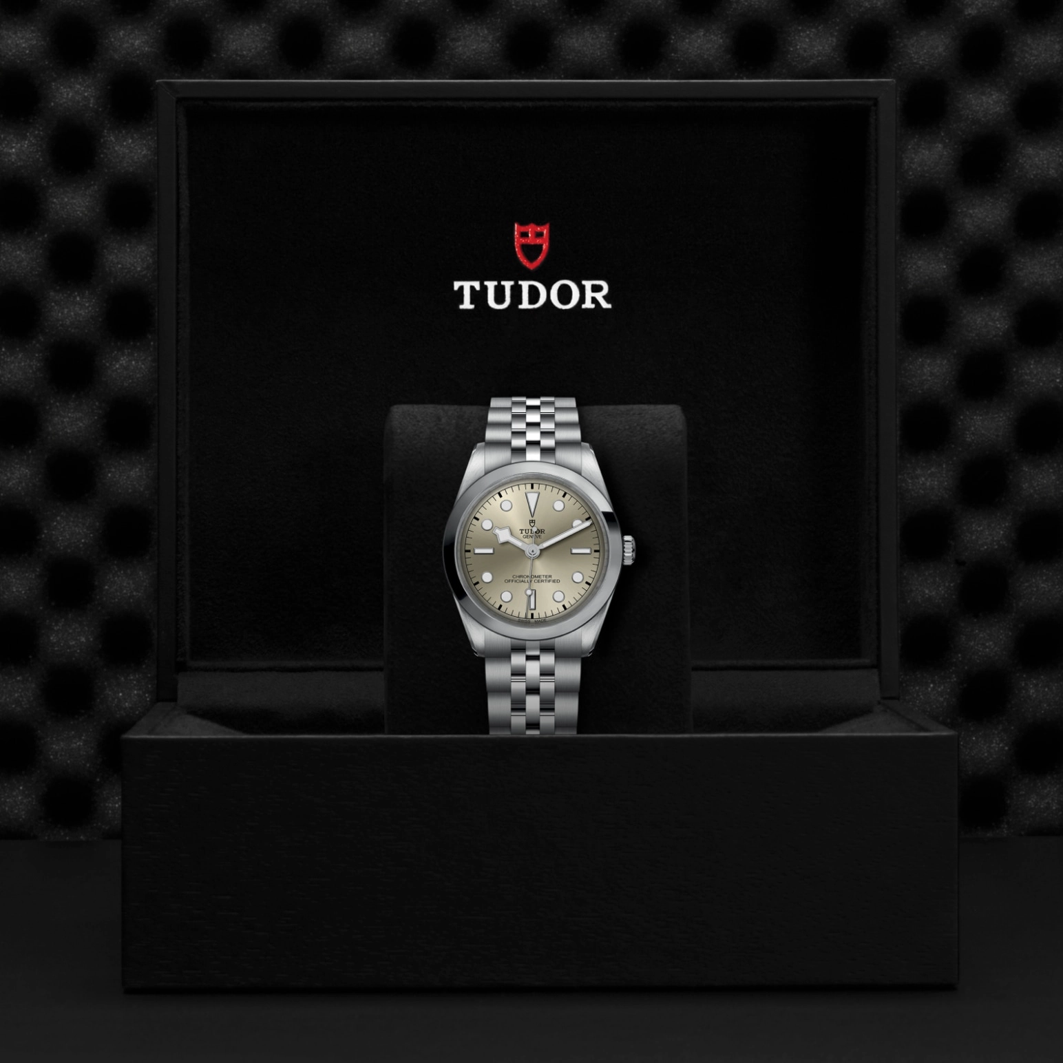 Black Bay | 79640 | Steel | M79640-0003 | Tudor Official Retailer - Pendulum
