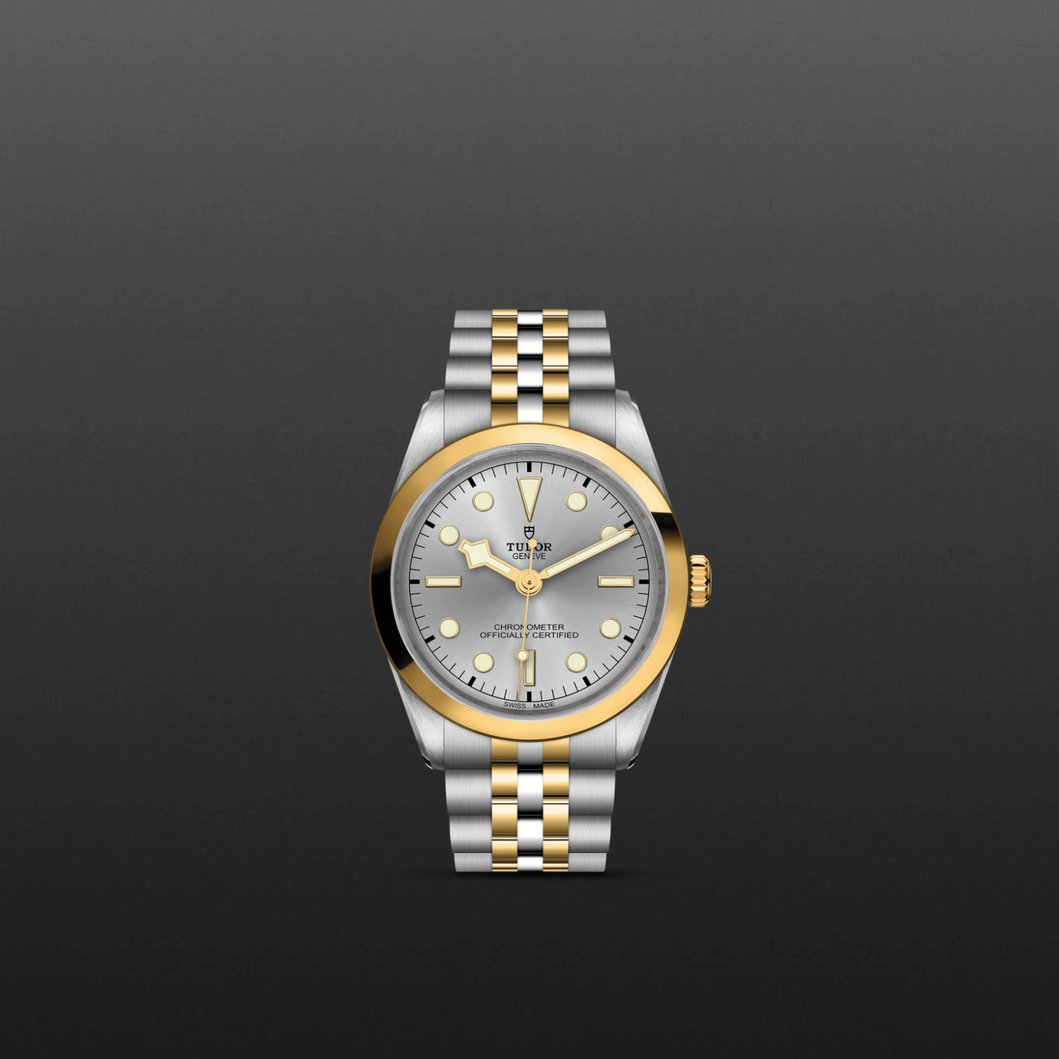 Black Bay One | 79643 | Steel and Gold | M79643-0002 | Tudor Official Retailer - Pendulum