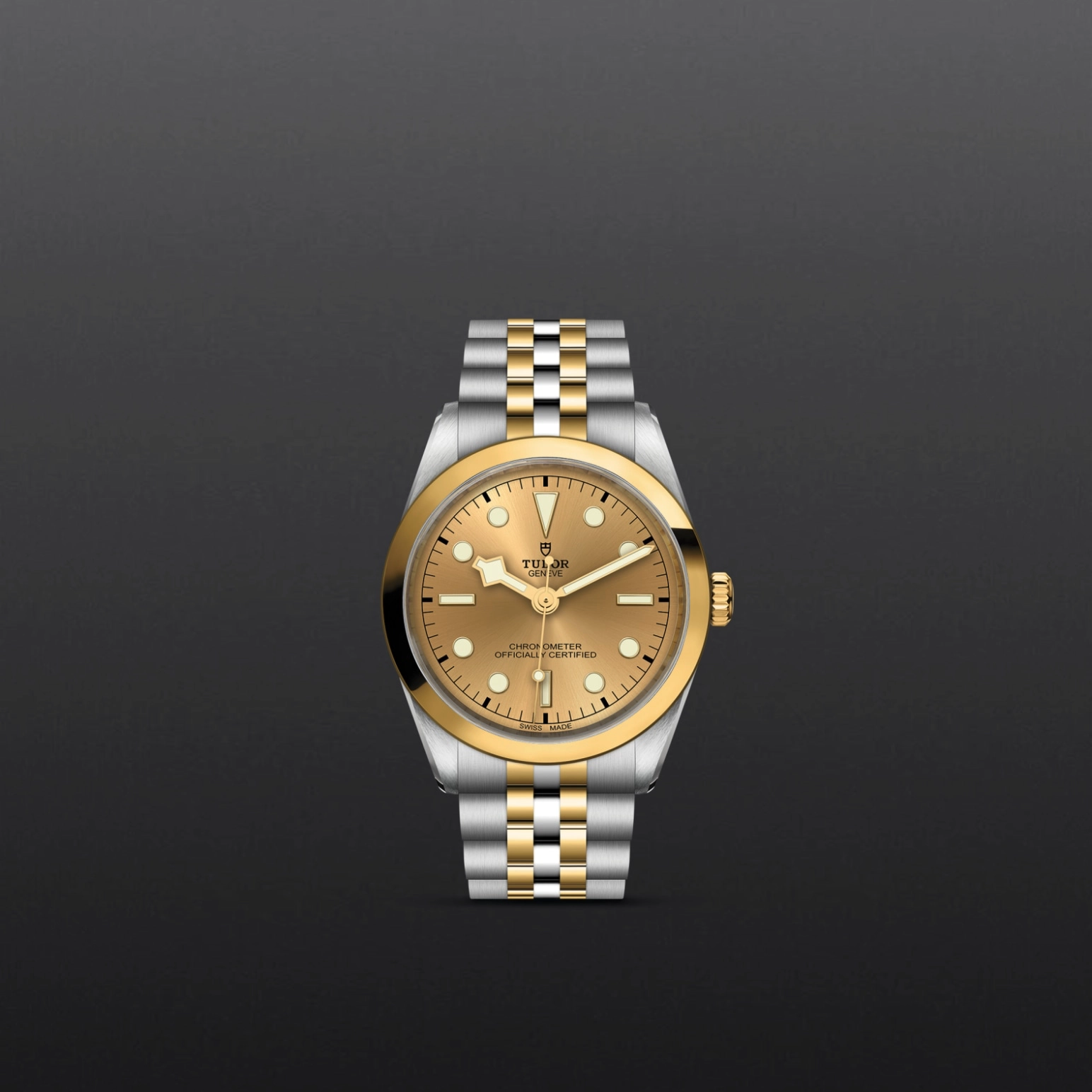 Black Bay One | 79643 | Steel and Gold | M79643-0005 | Tudor Official Retailer - Pendulum