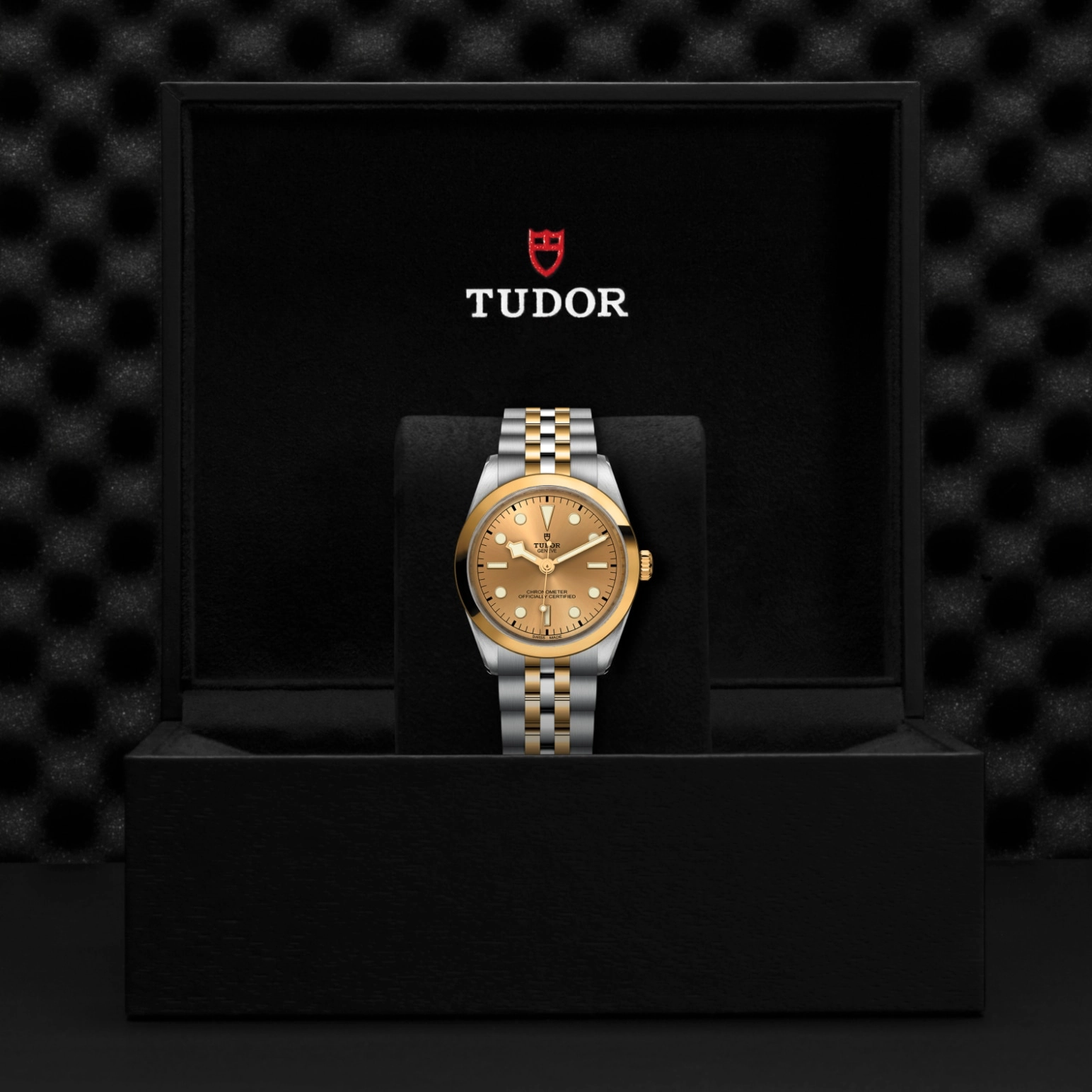 Black Bay One | 79643 | Steel and Gold | M79643-0005 | Tudor Official Retailer - Pendulum