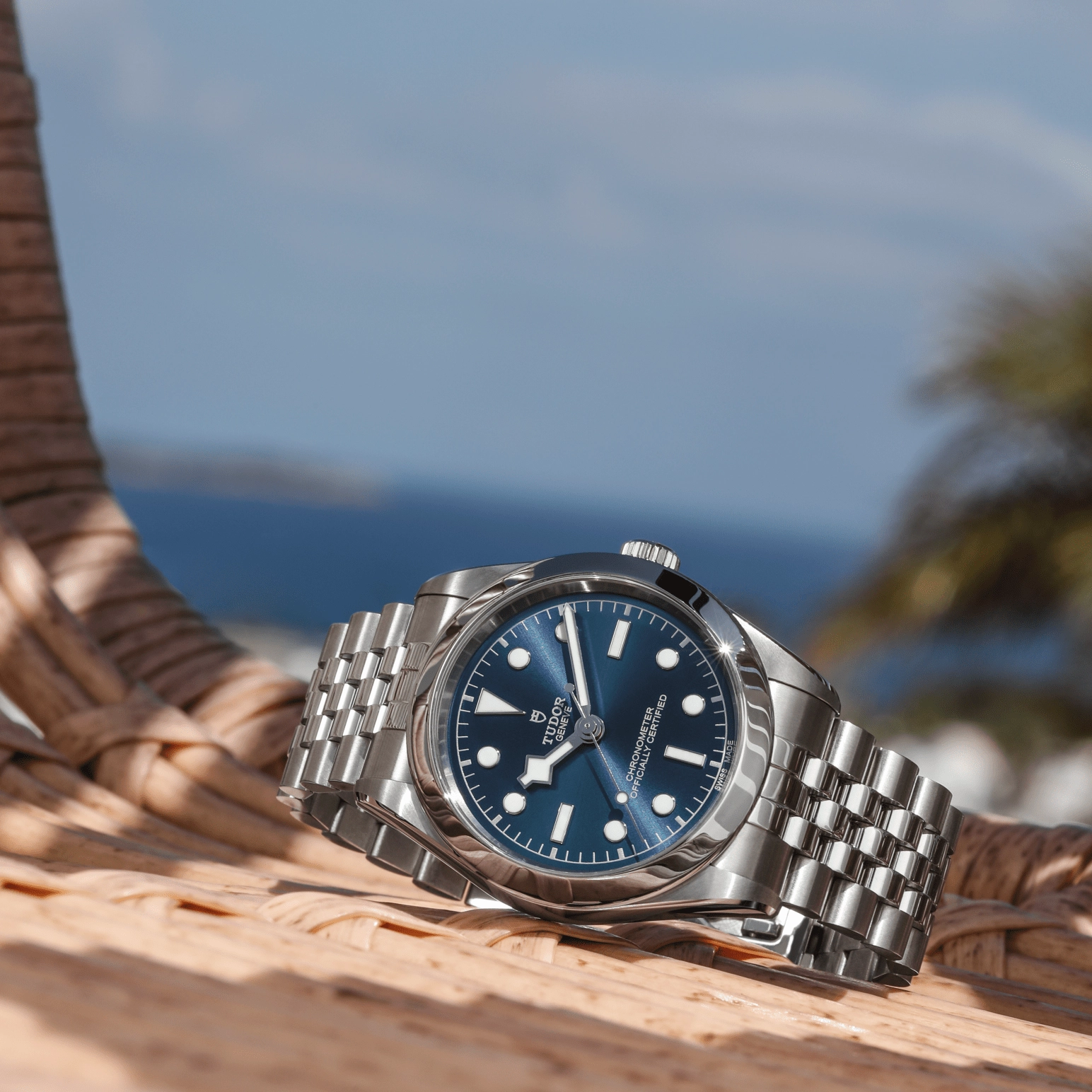 Black Bay | 79660 | Steel | M79660-0002 | Tudor Official Retailer - Pendulum