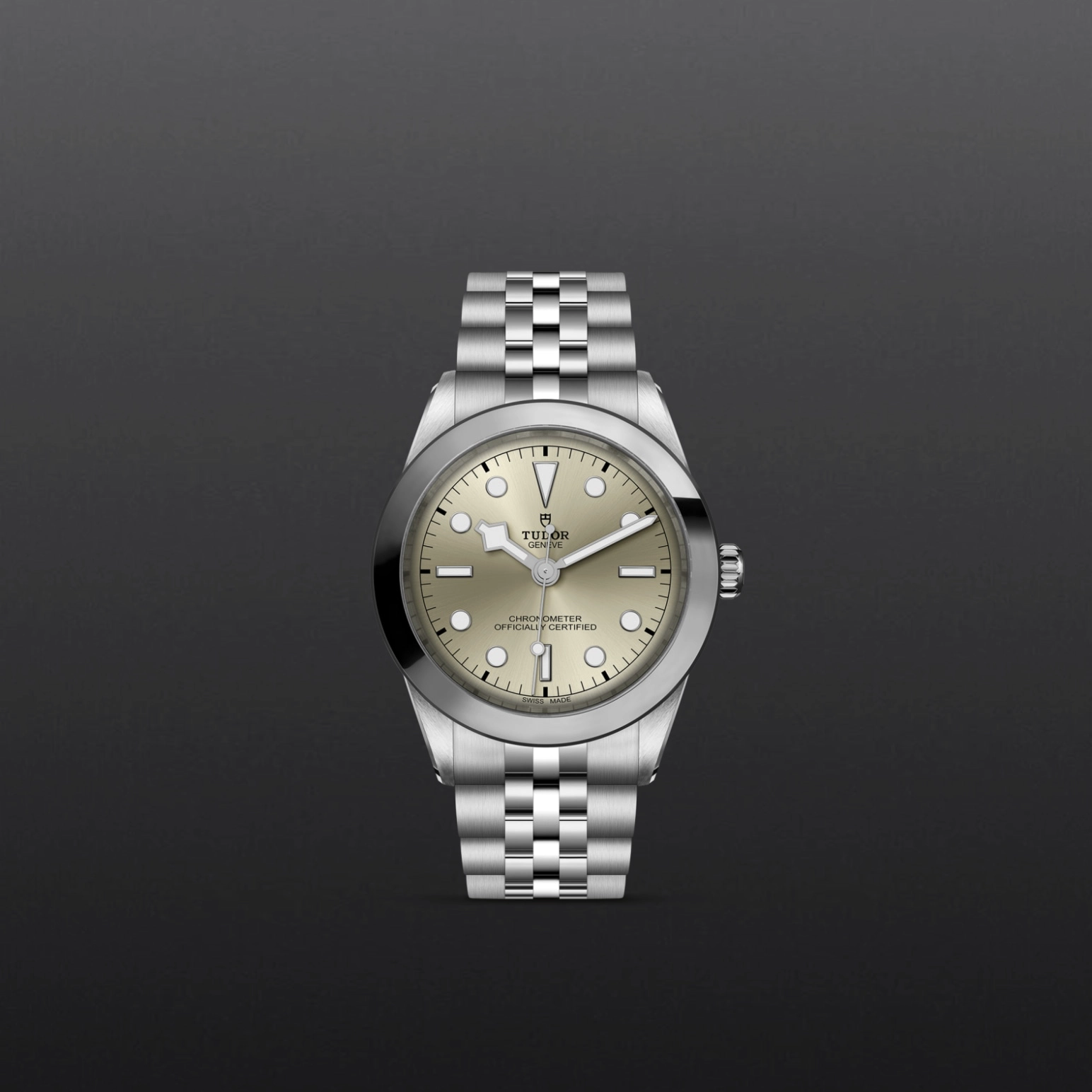 Black Bay | 79660 | Steel | M79660-0003 | Tudor Official Retailer - Pendulum