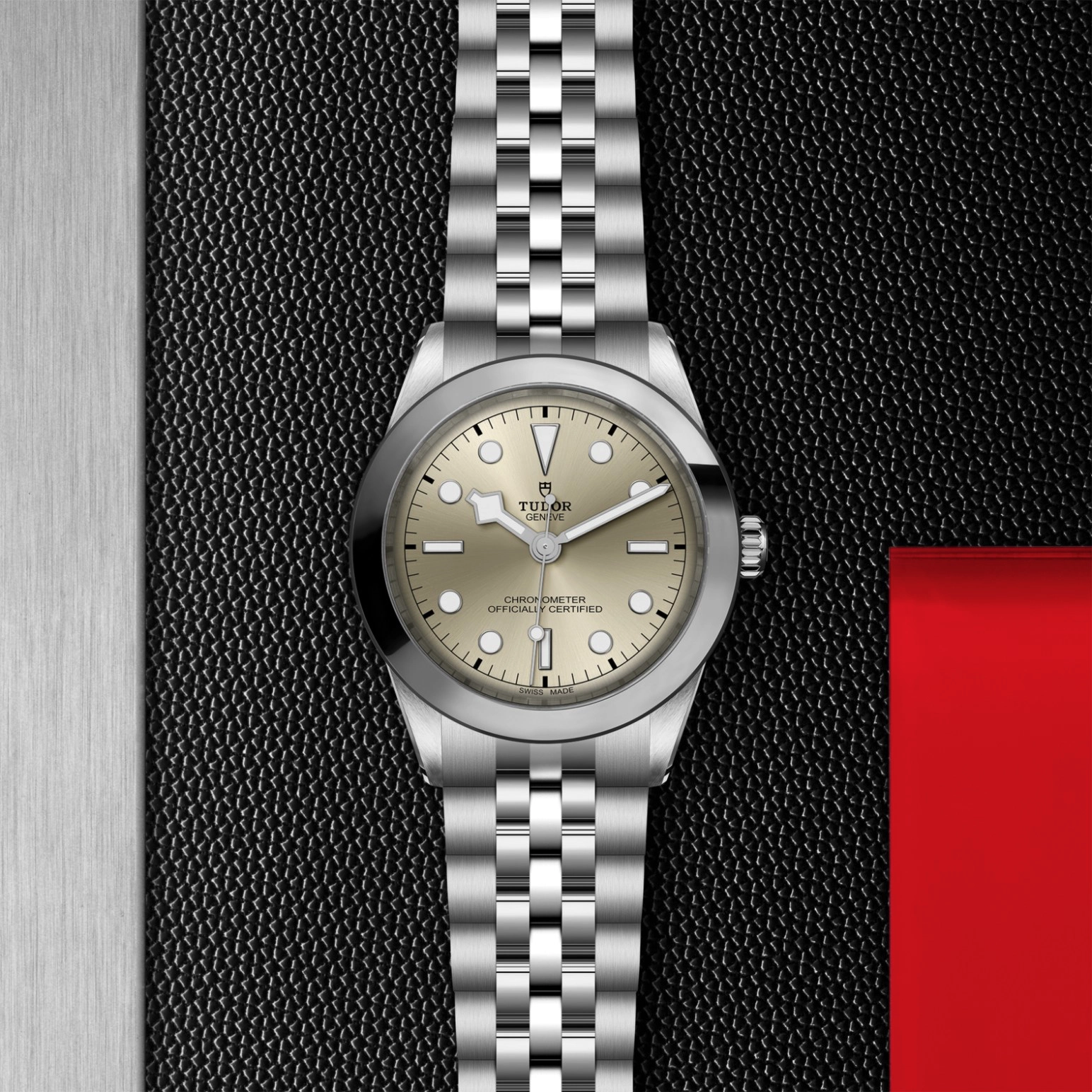 Black Bay | 79660 | Steel | M79660-0003 | Tudor Official Retailer - Pendulum