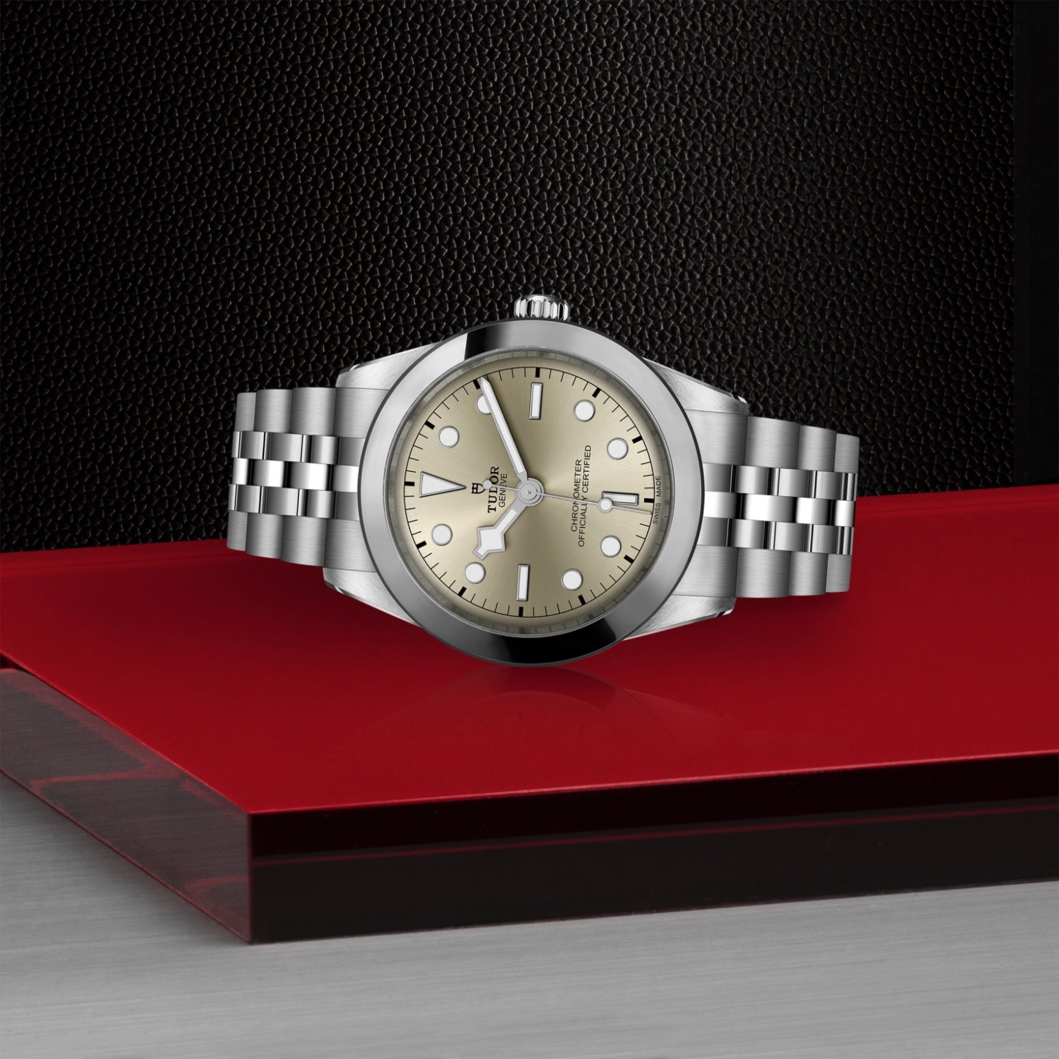 Black Bay | 79660 | Steel | M79660-0003 | Tudor Official Retailer - Pendulum