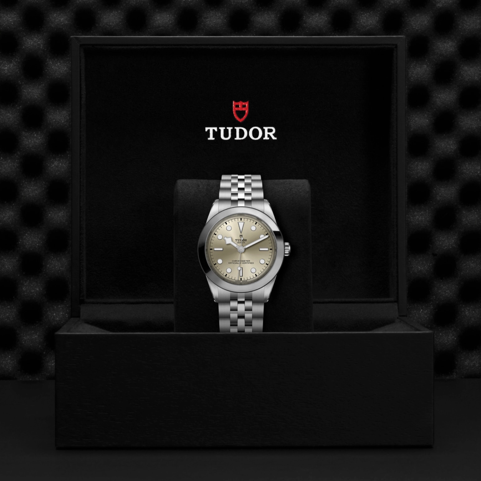 Black Bay | 79660 | Steel | M79660-0003 | Tudor Official Retailer - Pendulum