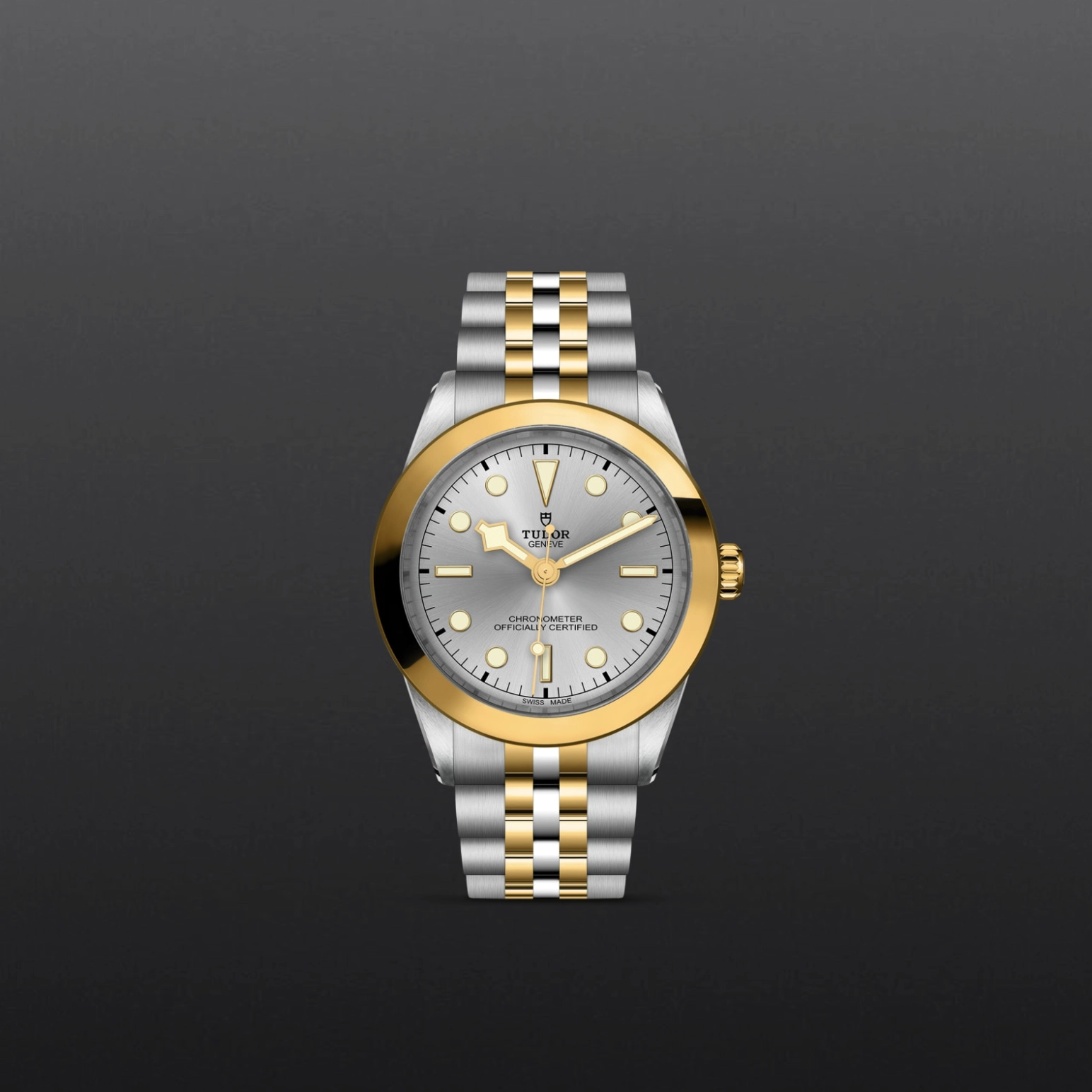 Black Bay One | 79663 | Steel and Gold | M79663-0002 | Tudor Official Retailer - Pendulum