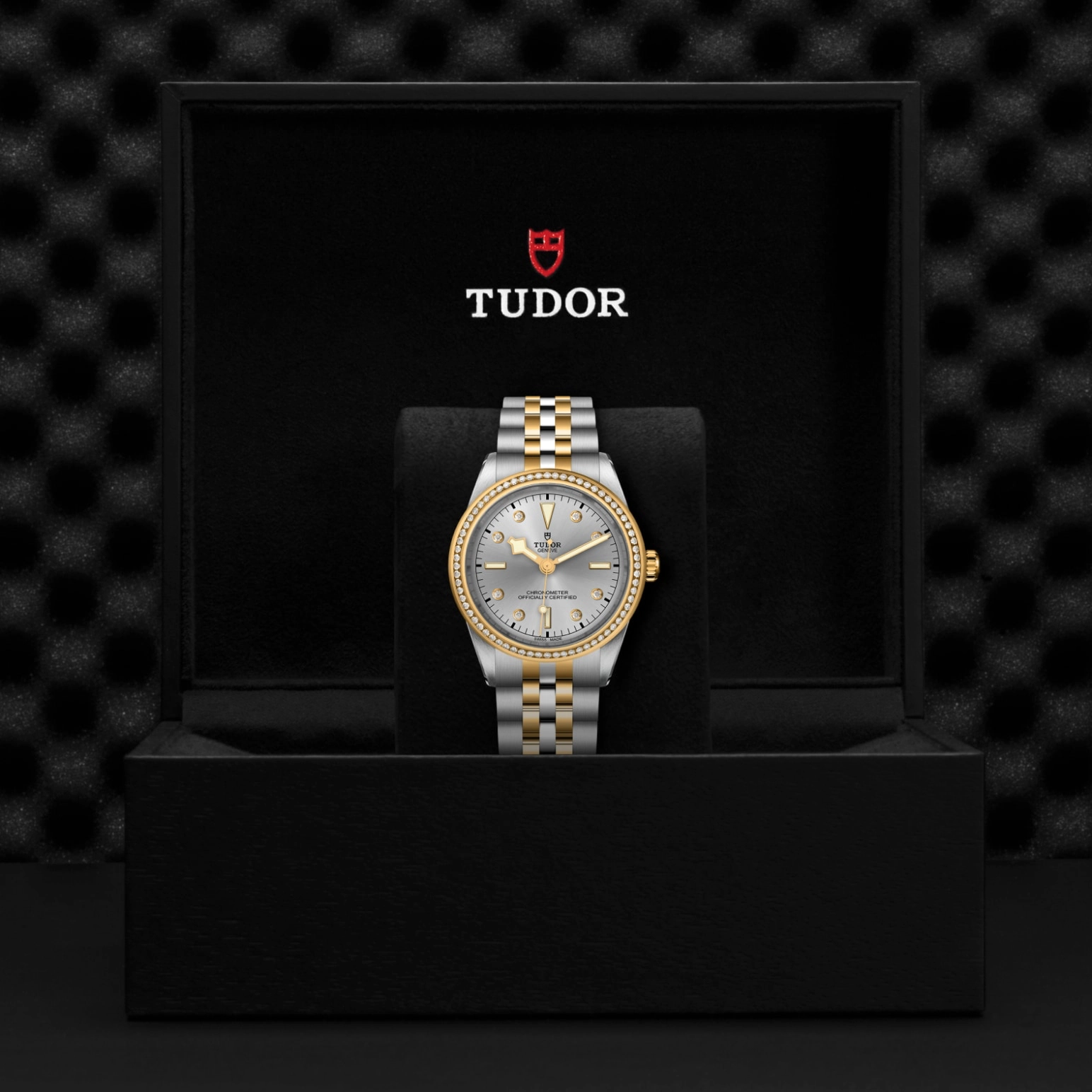 Black Bay | 79673 | Steel and Gold | M79673-0006 | Tudor Official Retailer - Pendulum
