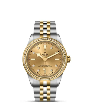 Black Bay | 79673 | Steel and Gold | M79673-0007 | Tudor Official Retailer - Pendulum
